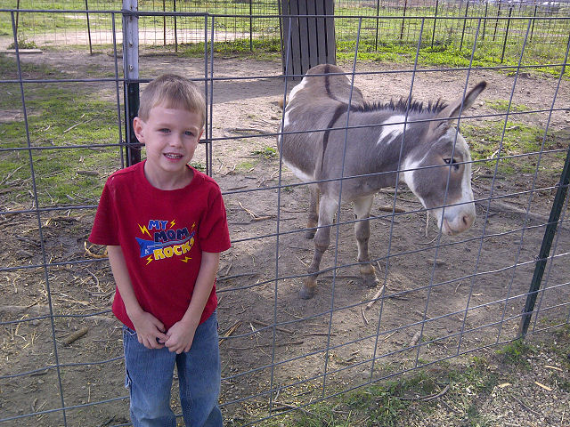 � David A. Leas - all rights reserved.